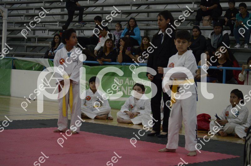 Photo of ytnftrxmy2ki0arc1878dwby