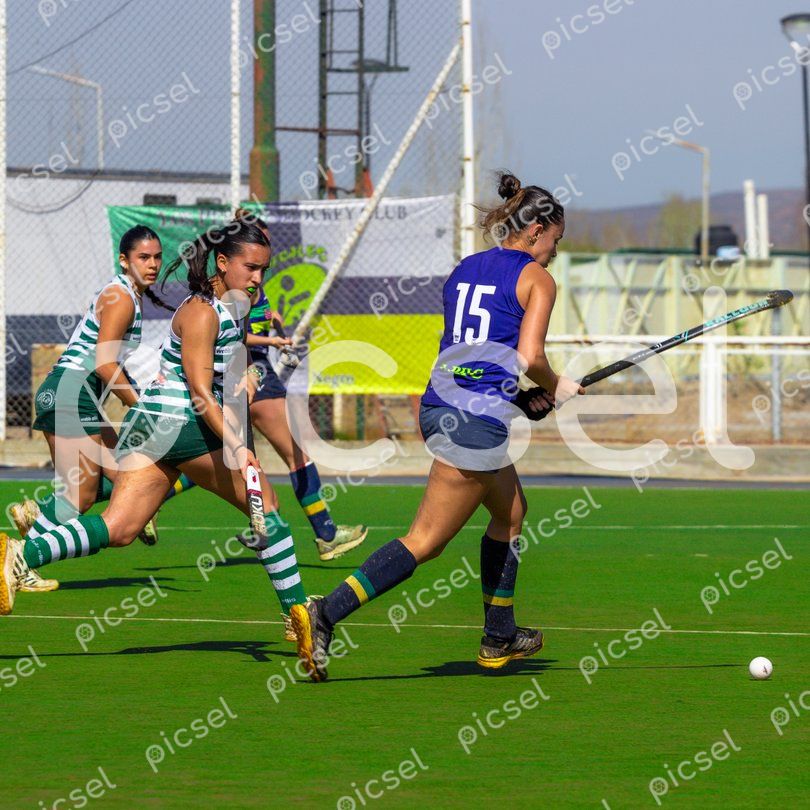 Photo of pp874bhcgjp3r8pieh4b44r7