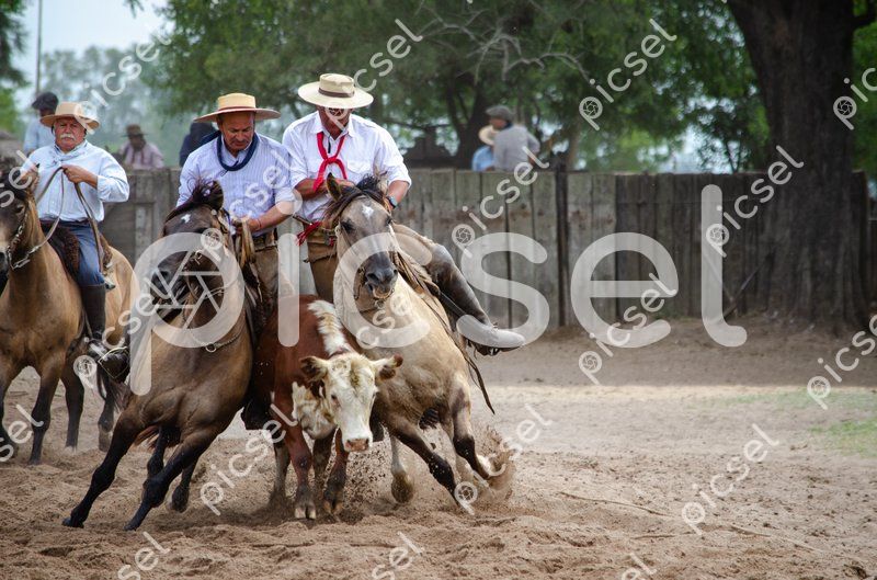 Photo of ow0e7j54jwalph3c9yr6dynr