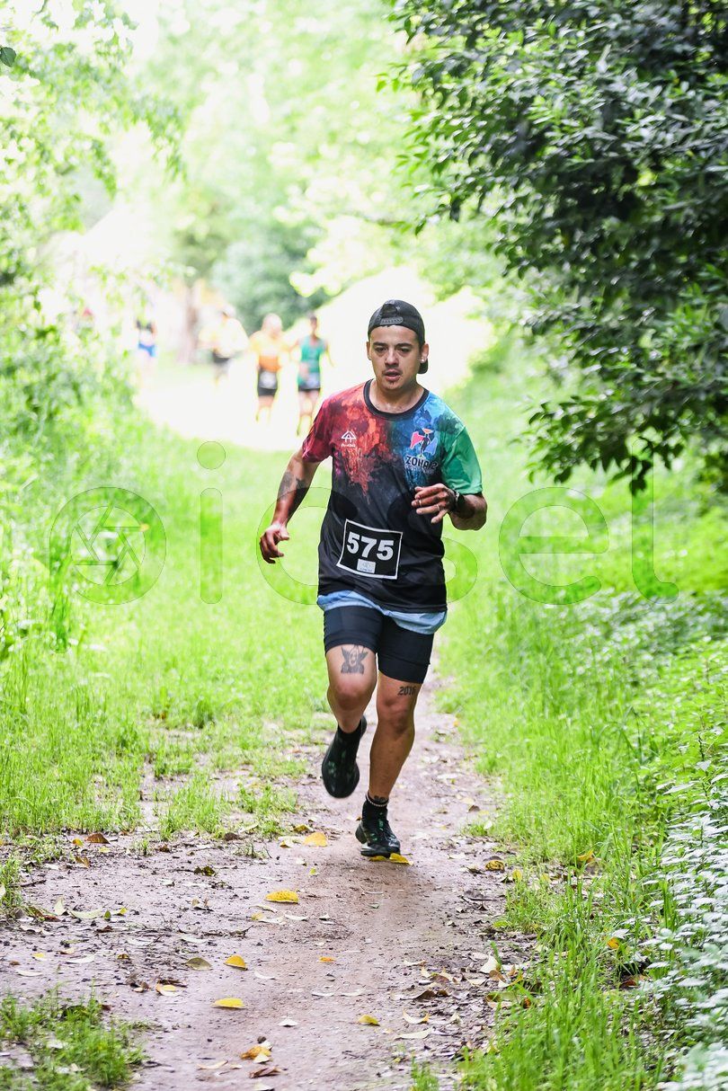 Photo of eqrib1htag3gh2j2pdjrvro6