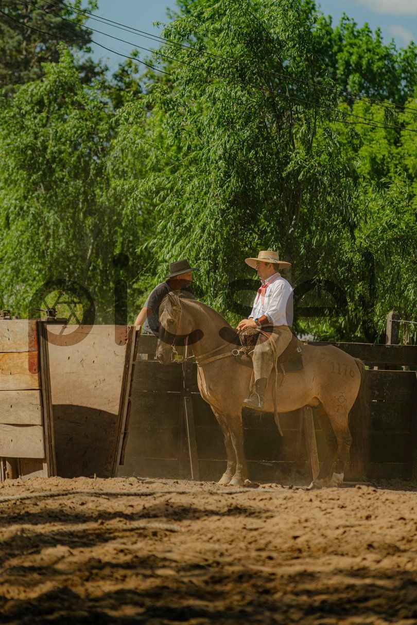 Photo of qprxbhdw71qp7z5jkyed9qqm