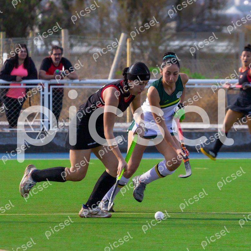 Photo of glqx3n7qprt6p2q653wu52a3
