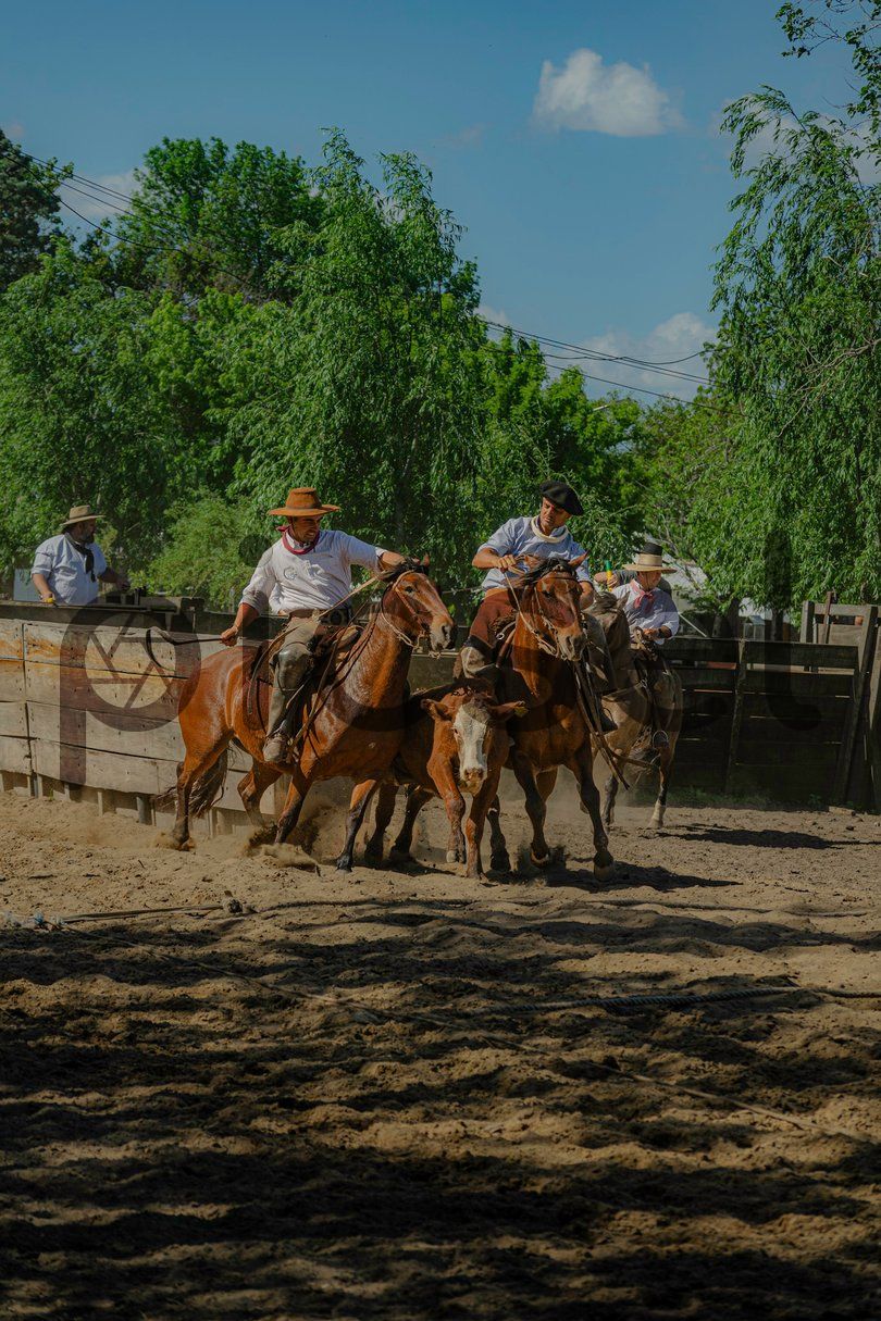 Photo of juyj5ffqow56wt9c331qx34p