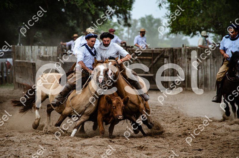 Photo of a3ubvdoege4vp544roewygxc