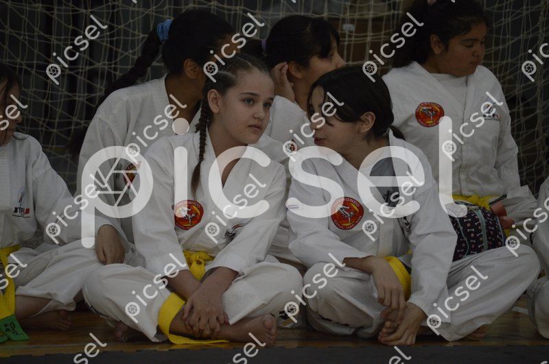 Photo of upsgldiu62vf3b1kf11460or