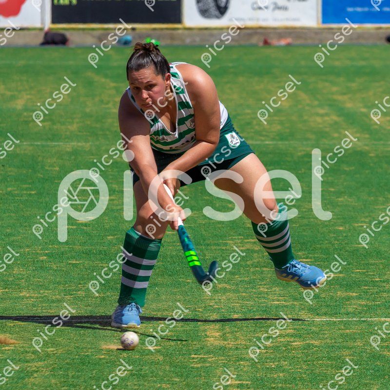 Photo of d68htye5tw7mgpb6c5hhxlu3