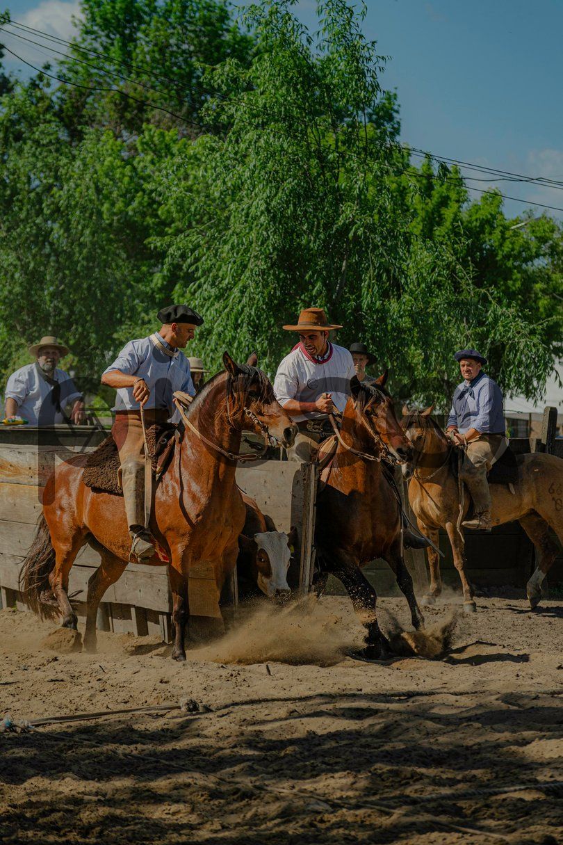 Photo of dm465byivngk9cmkp38novlv