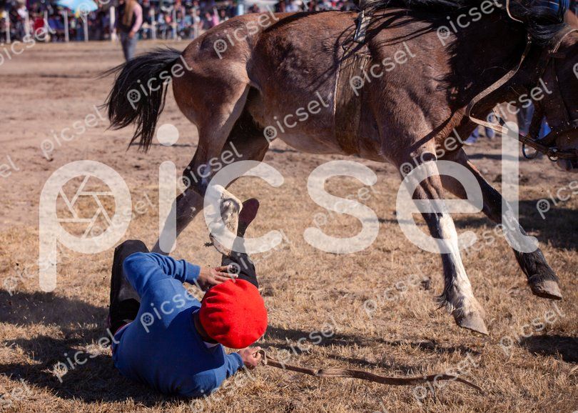 Photo of ypr3l3268hkuigb992lfzs3u