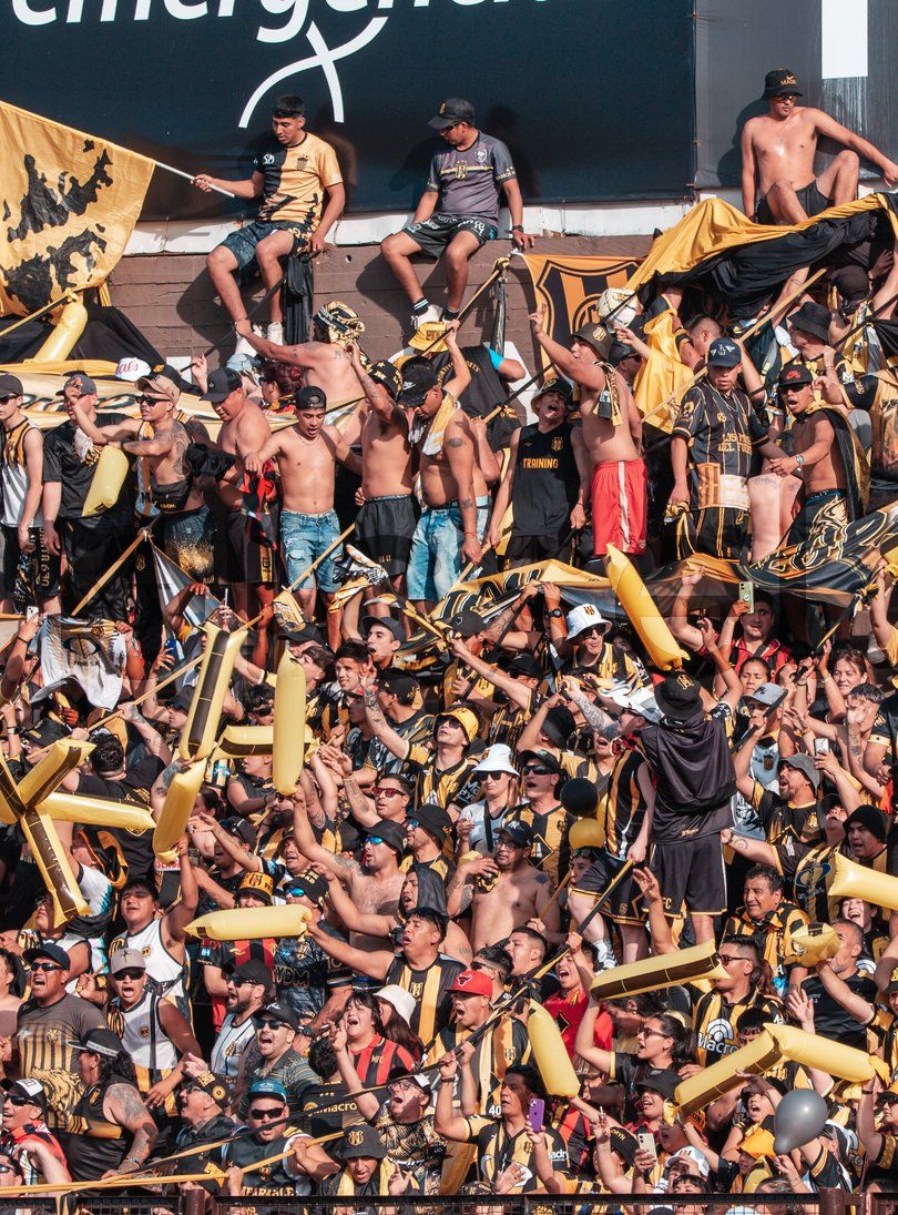 Photo of essdjj26lesrx4pzg3otai7v