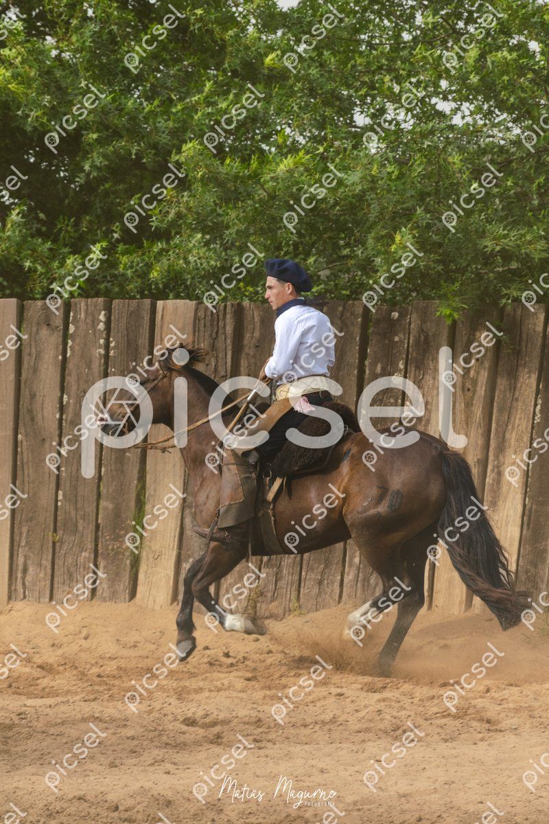 Photo of apatnby0g5j3vq8dobcilsra