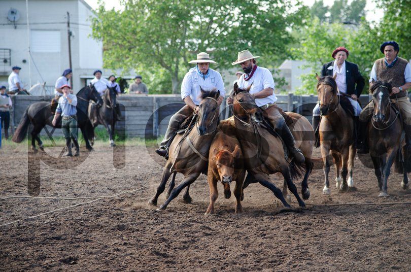 Photo of l0h18l81ewgh7if5xujcusjw