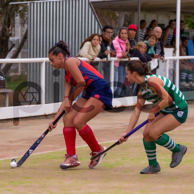 Photo of jmx5db5z9nipn3aatvw80ijf