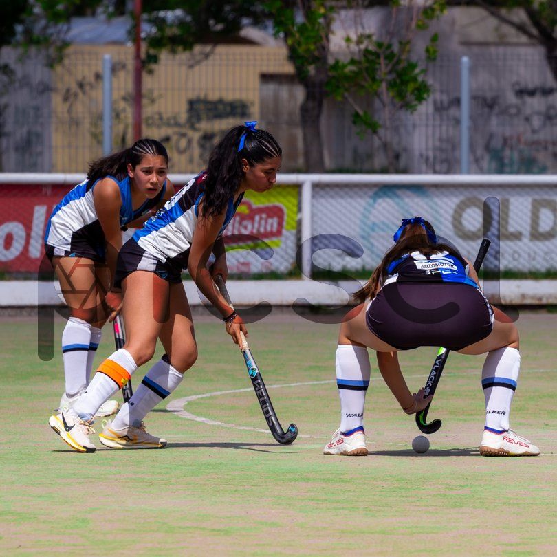 Photo of x3b7k7ojmff6opd1bepa3z4w