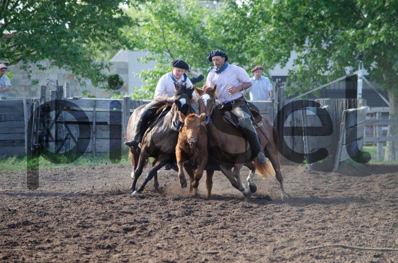 Photo of yjn7npb01y0vlnpc82ajk77k