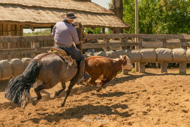 Corral aparte en Cabaña La Baguala - Segunda Serie