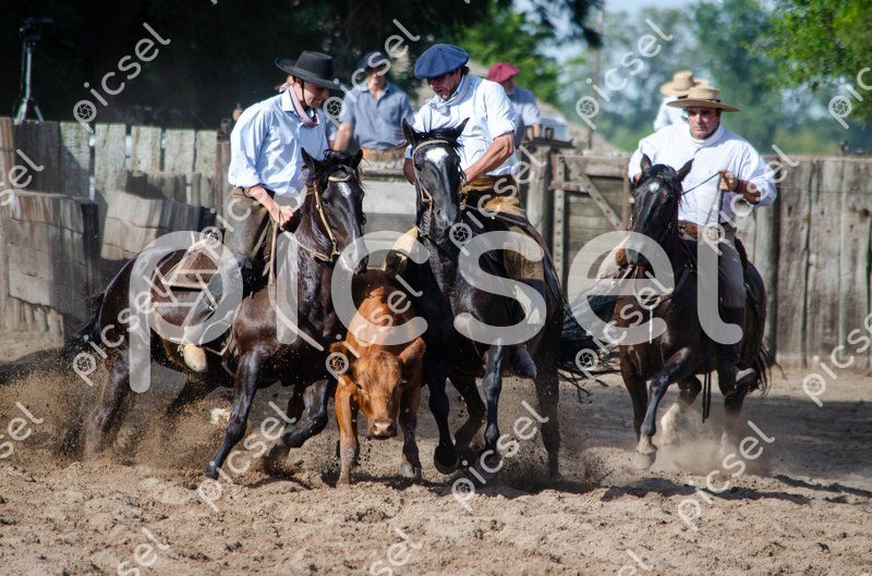 Photo of ftpfozjc5xj8mnpgrtovw6bb