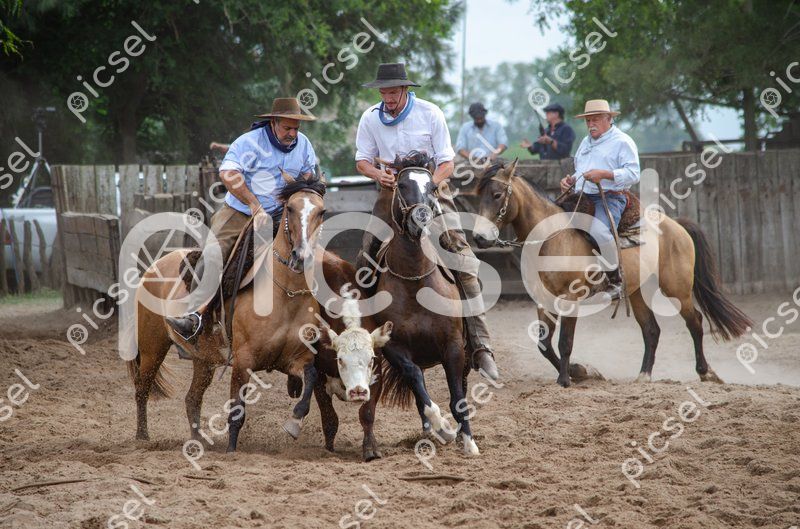 Photo of ji9t0koprgtco8irfgw31nc7