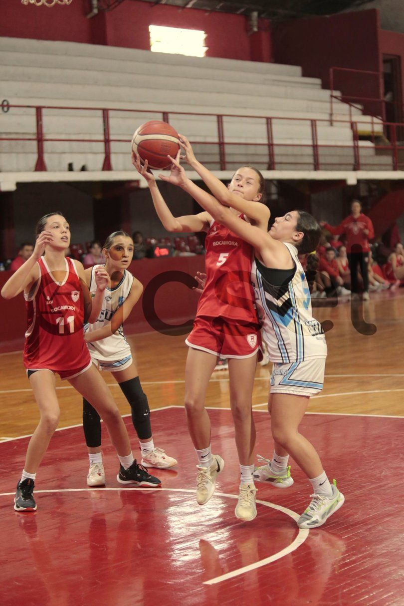 Photo of nvx8idrf254ef63p8j6nsem9