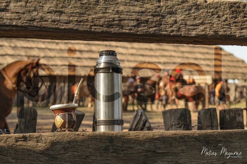 Photo of q8oa7053s3fpzr11scnymf4w