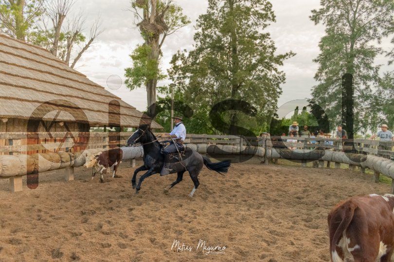 Photo of r00yg3hlc4b4kczokz5eete4