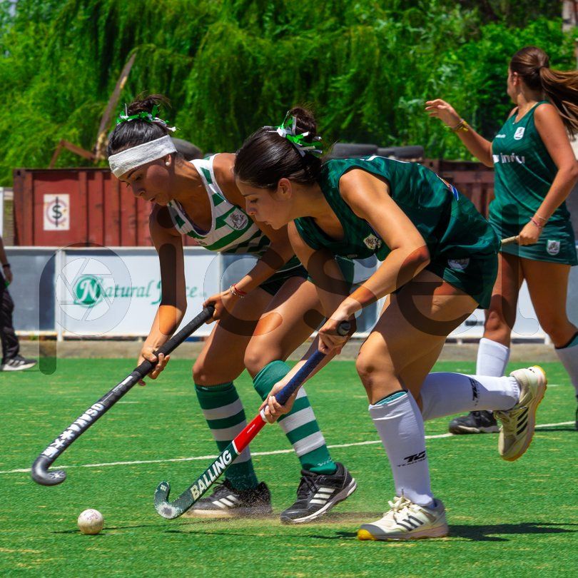 Photo of qtyregqiskctjqeqodnuee03