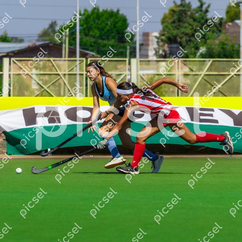 Photo of shnkxdhbvvgfsl30q8bbu1og