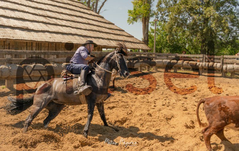 Photo of qahhdm9bb0jiw3pkphrrvqi0