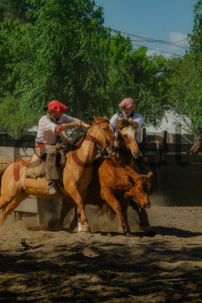 Photo of gbd17873ne8qr1wxlw5633dj