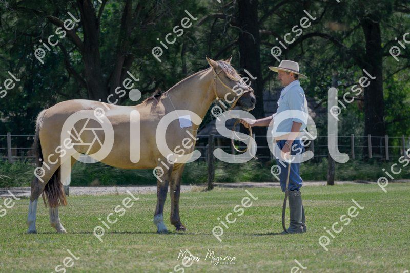 Photo of iuysc92v5rzvnd72qb2qomxm