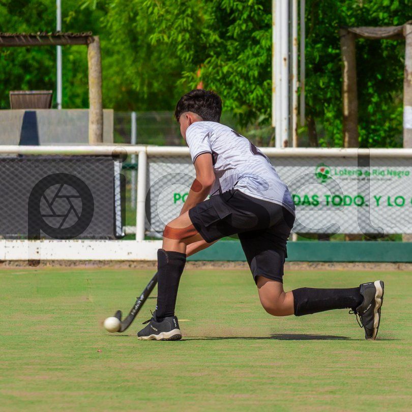 Photo of mtumrhzl87mbvunywgi6jjbl