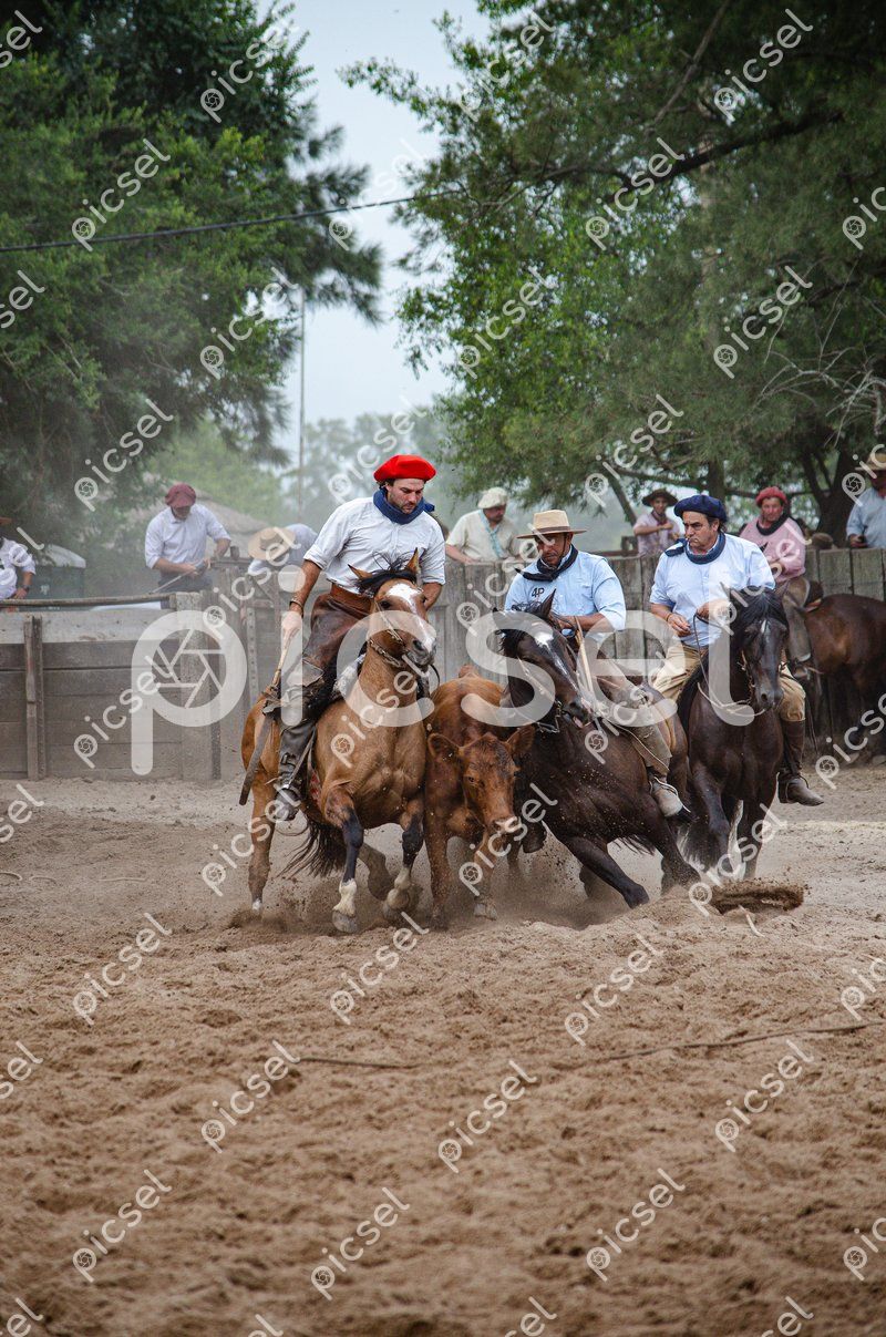 Photo of kg9o2v9035a90d22rhtbt3vc