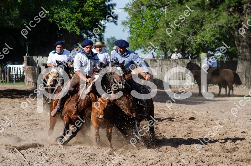 Photo of ea6gyty1lac5cix09p9o03wt