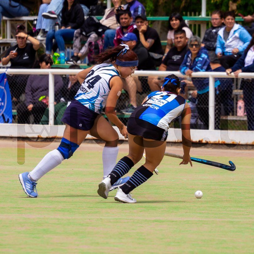 Photo of krn1awf8ieey8p7hs6l2abz7