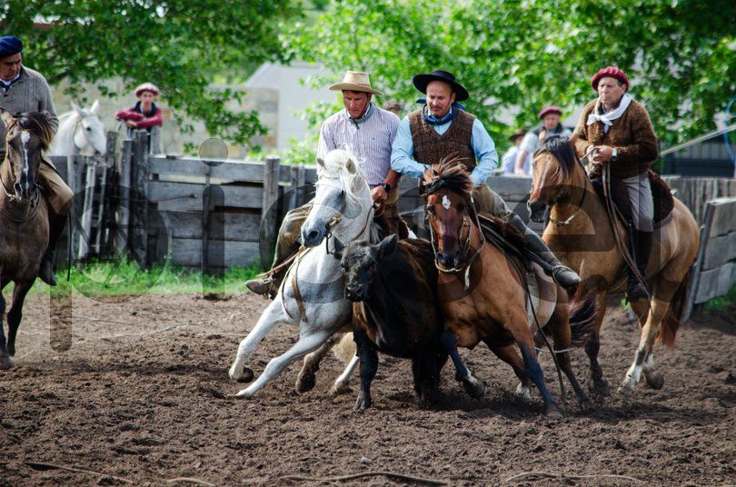 Photo of dz0kbjnqov9ya35lpv8ugryx