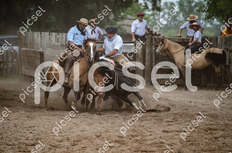 Photo of srf5vwhynn1dhwti6va9bg8v