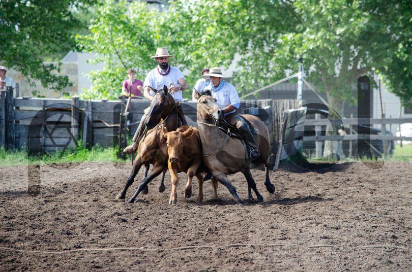 Photo of iswzclguagfu0ivwlc4iki2i