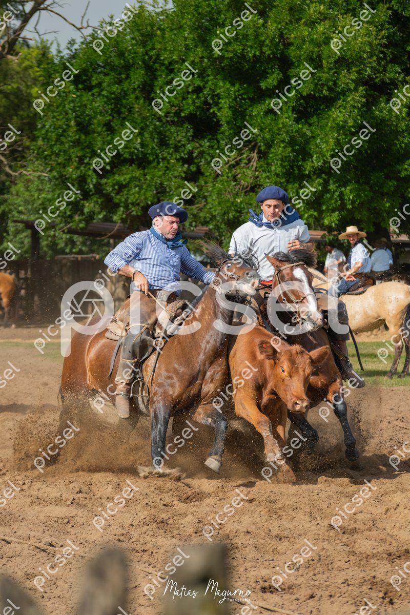 Photo of ay6peeab5wlhha2r6o8hy7oq