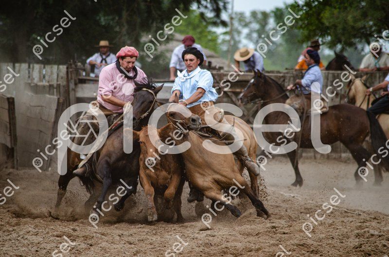 Photo of lpximsxmcyd55vtouvxzaqae