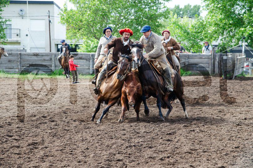 Photo of iydd1m92kt93afav709ky8cr