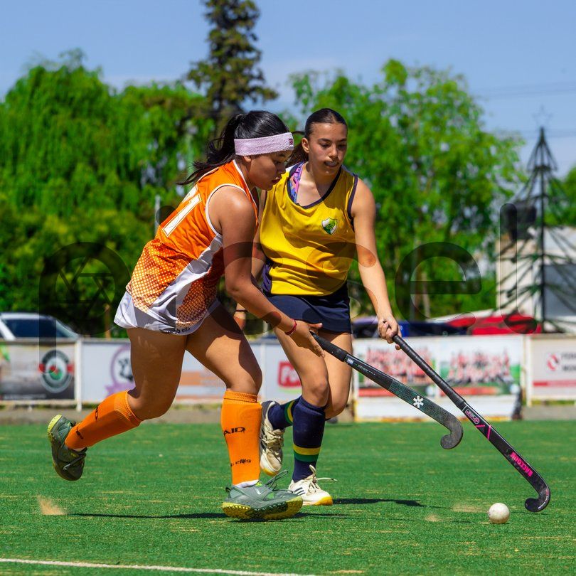 Photo of rg4698f68f9s5qoz3dmtciqr