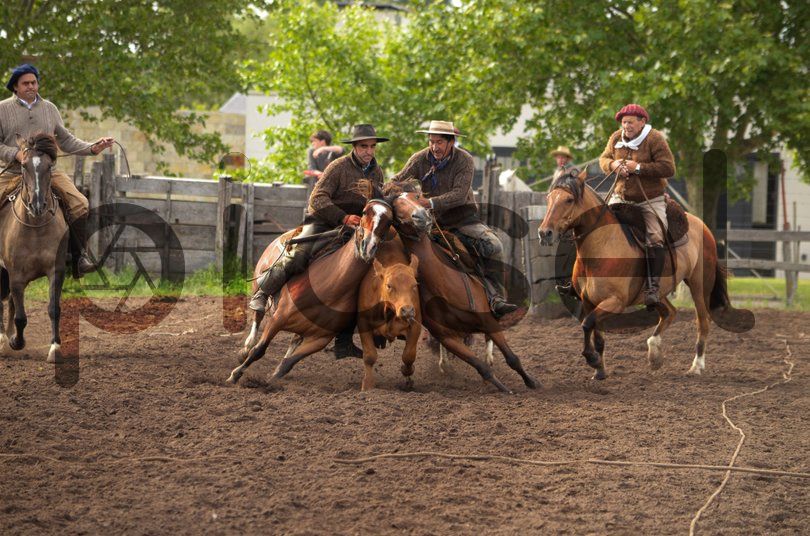 Photo of vldjakngv46xz3cnkyszp9x0