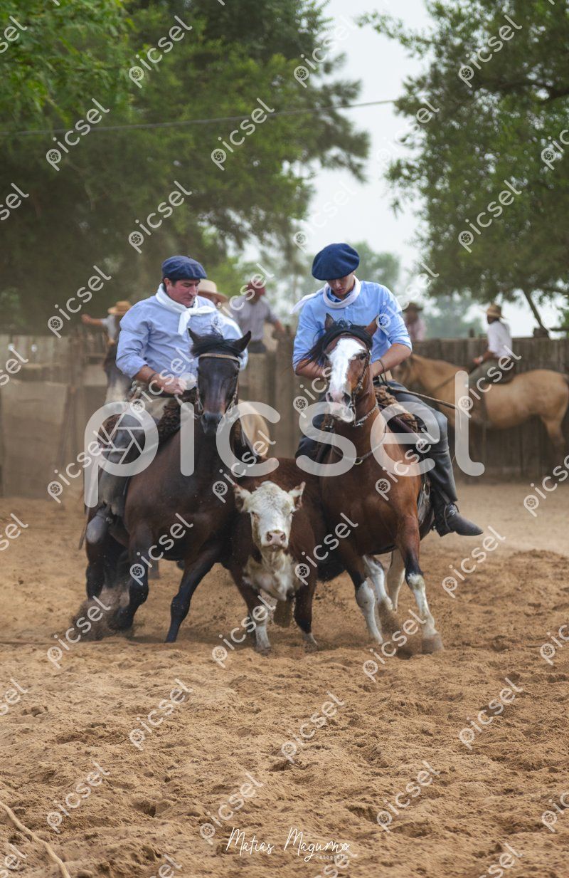 Photo of yuc45l670s714pur8yjulpxf