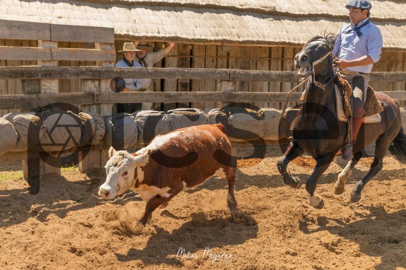 Photo of f59huolmliu8mahcoo1ohsj3