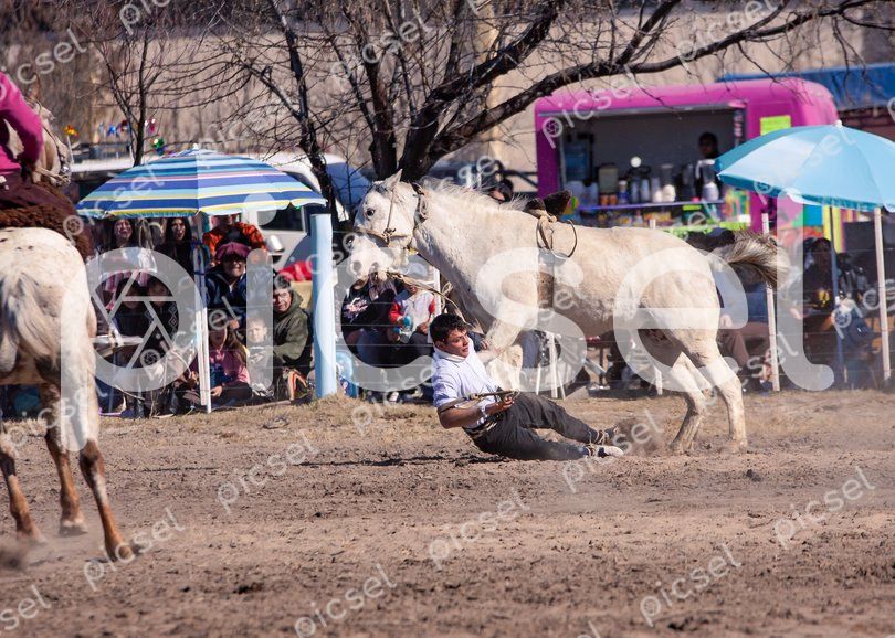 Photo of t7v9m2qu29emxv8p799dth31