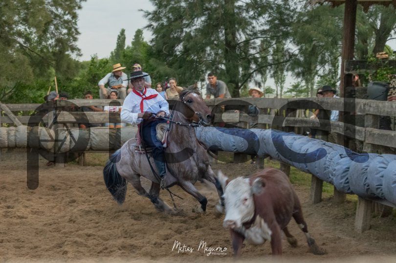 Photo of t8ccu14tuct5ykhmhk204oje