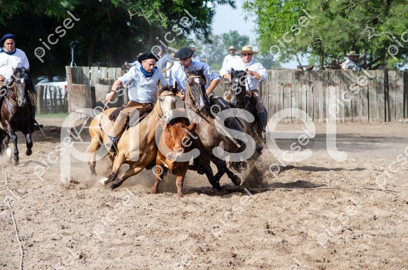 Photo of o2zw8nakmw7ai8c08xazrbqk