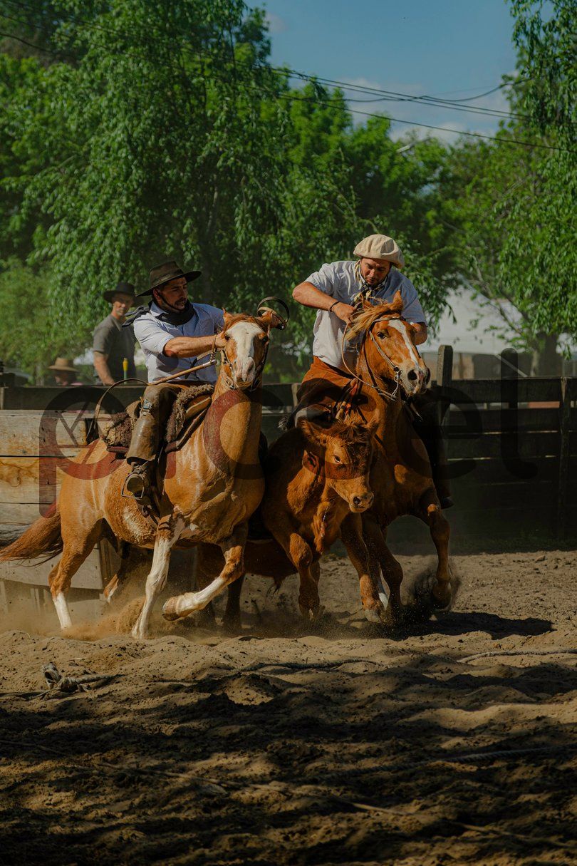 Photo of dbghdwlfx1sk3rwqrrpauq2a