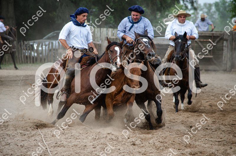 Photo of uzprlhzxup6pxpbk9rywv1ql