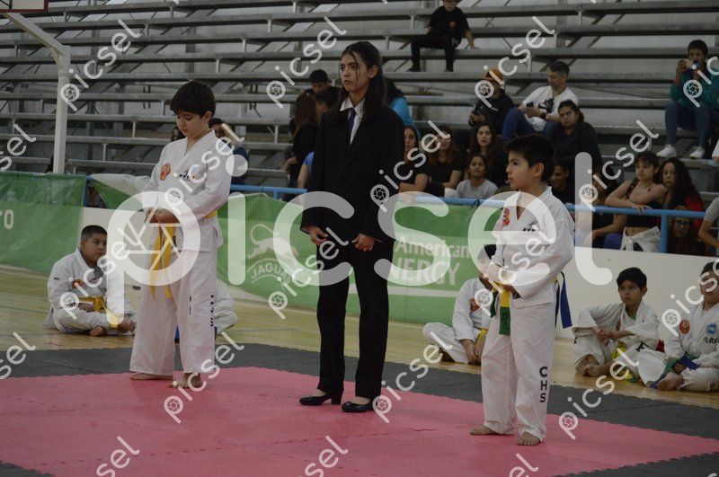 Photo of a306fxzbwyyf7rh6q9umtkme