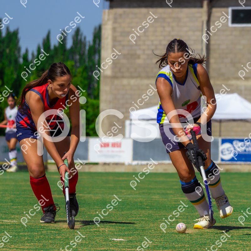 Photo of zl9z8i1omffttzn79223z95e